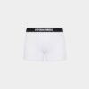 Dsquared2-logo-trunk