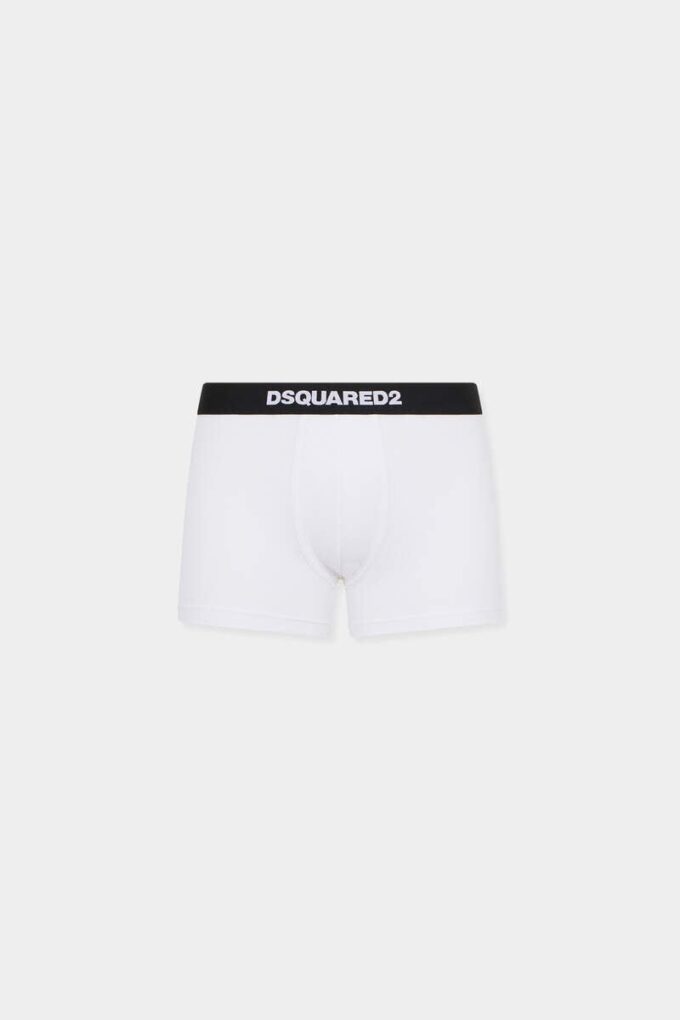 Dsquared2-logo-trunk