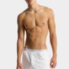 Dsquared2-logo-trunk