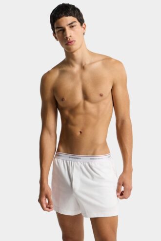 Dsquared2-logo-trunk
