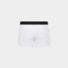 Dsquared2-logo-trunk