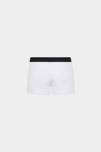 Dsquared2-logo-trunk