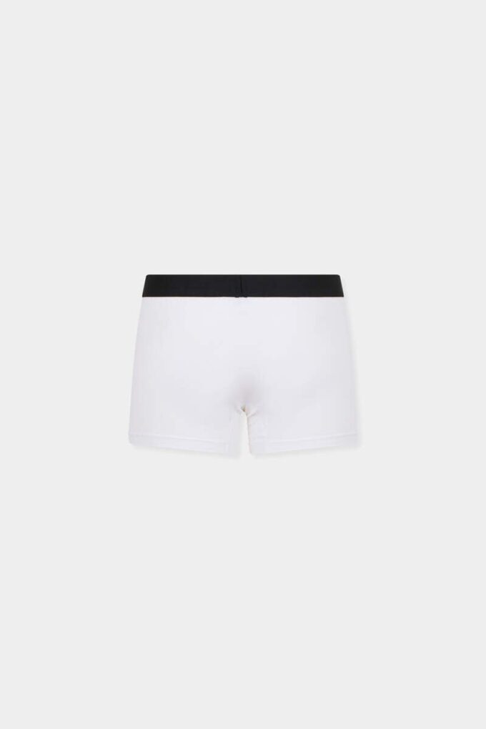Dsquared2-logo-trunk