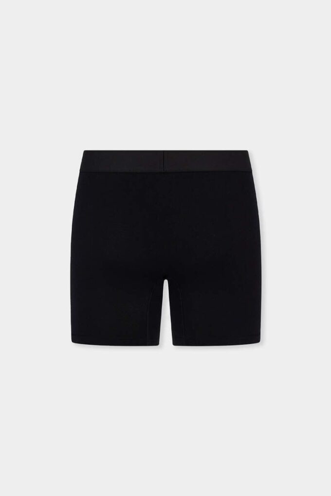 Dsquared2-logo-trunk