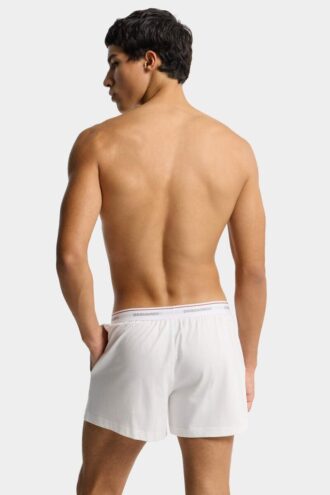 Dsquared2-logo-trunk