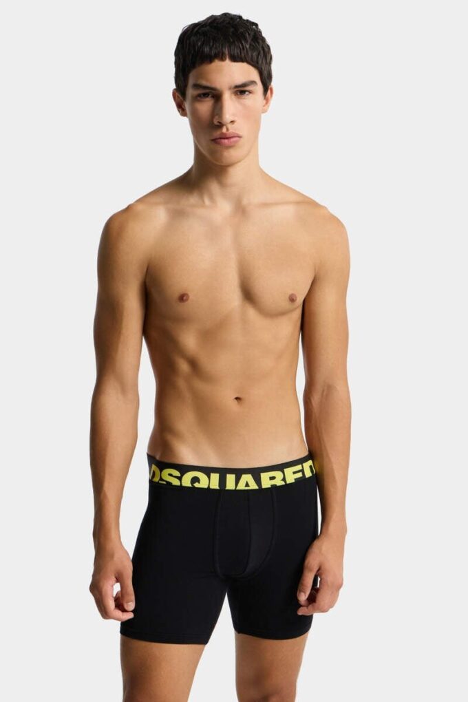 Dsquared2-logo-trunk