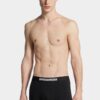Dsquared2-logo-trunk
