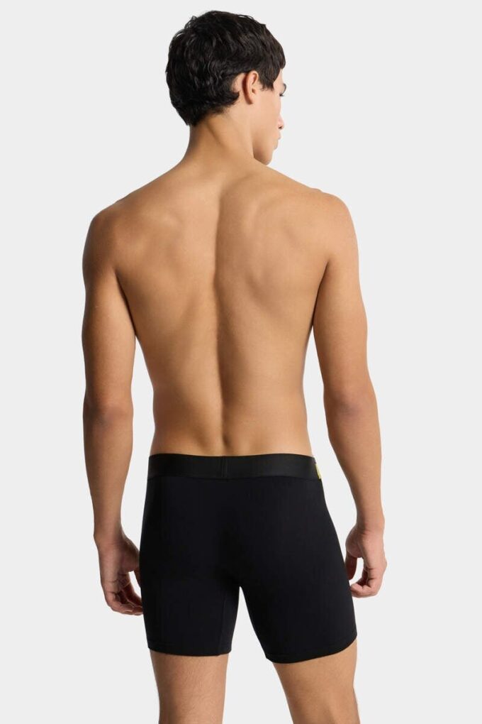 Dsquared2-logo-trunk