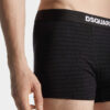 Dsquared2-logo-trunk